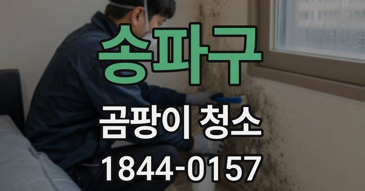송파구 곰팡이 청소