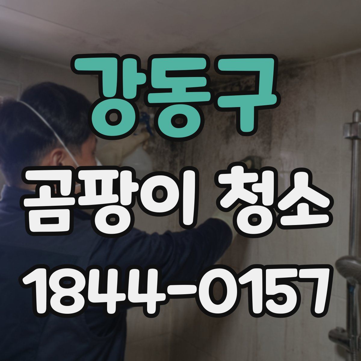 강동구 곰팡이 청소