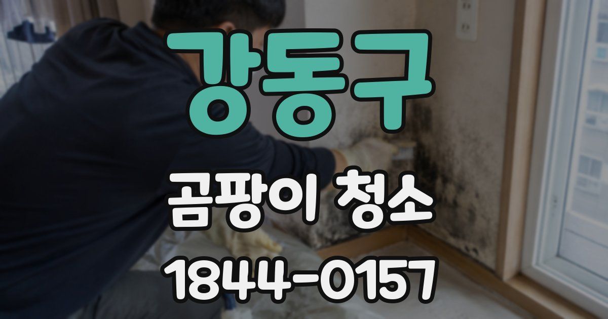 강동구 곰팡이 청소