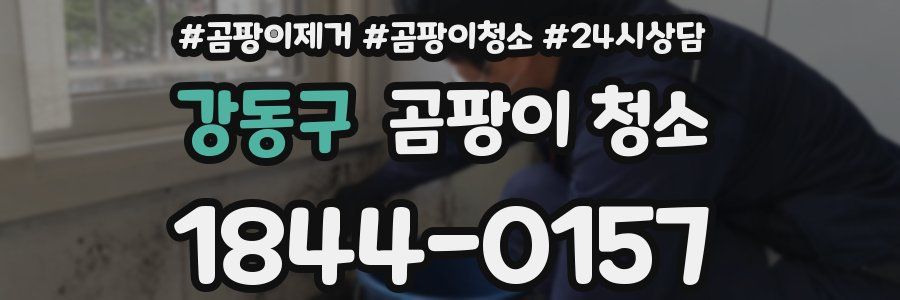 강동구 곰팡이 청소