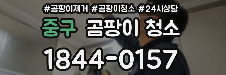 중구 곰팡이 청소