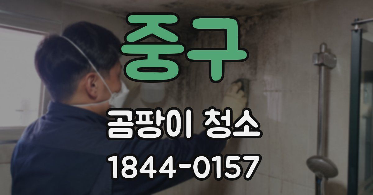 중구 곰팡이 청소