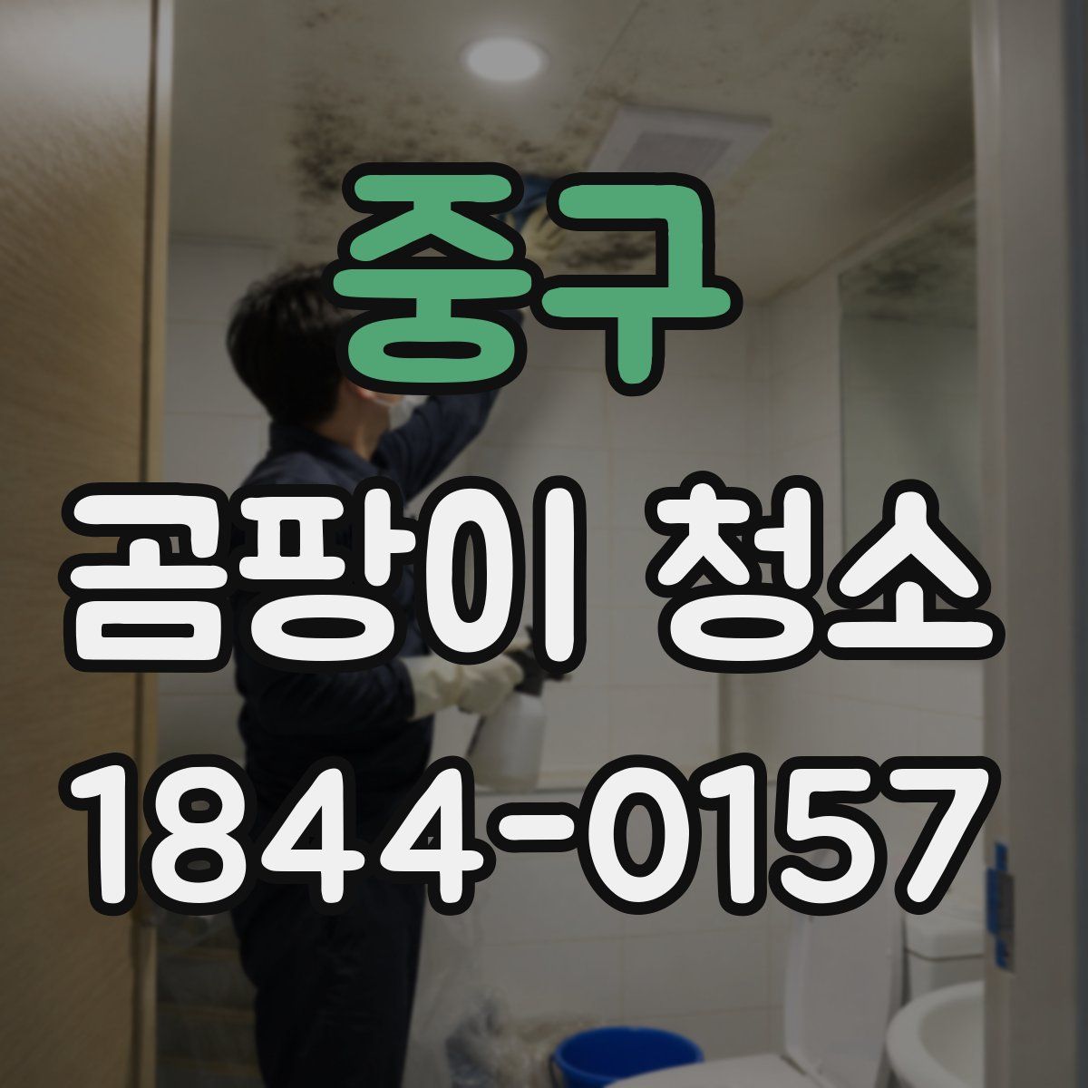 중구 곰팡이 청소