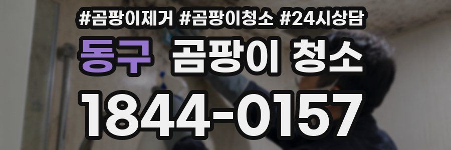 동구 곰팡이 청소