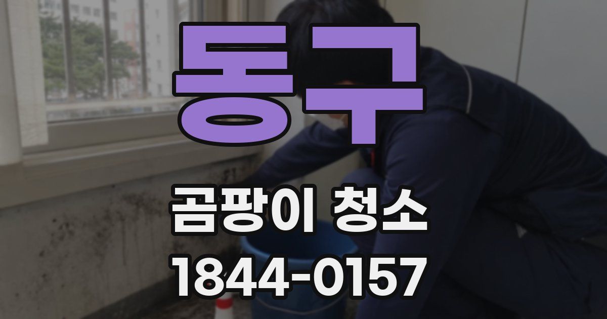동구 곰팡이 청소