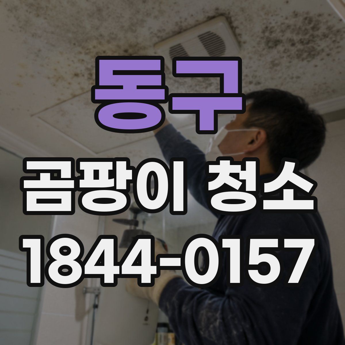 동구 곰팡이 청소