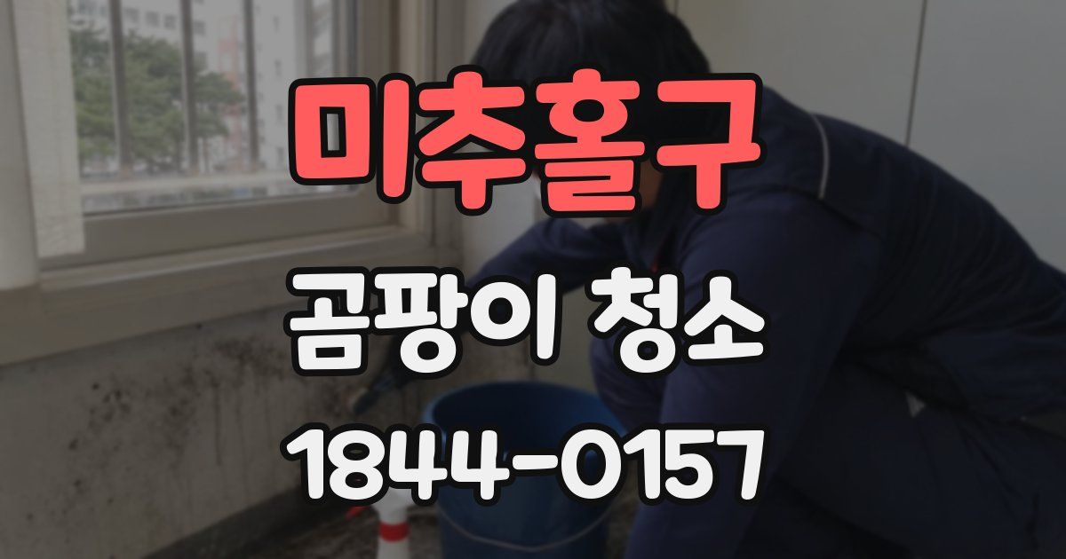 미추홀구 곰팡이 청소