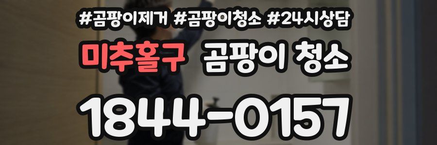 미추홀구 곰팡이 청소