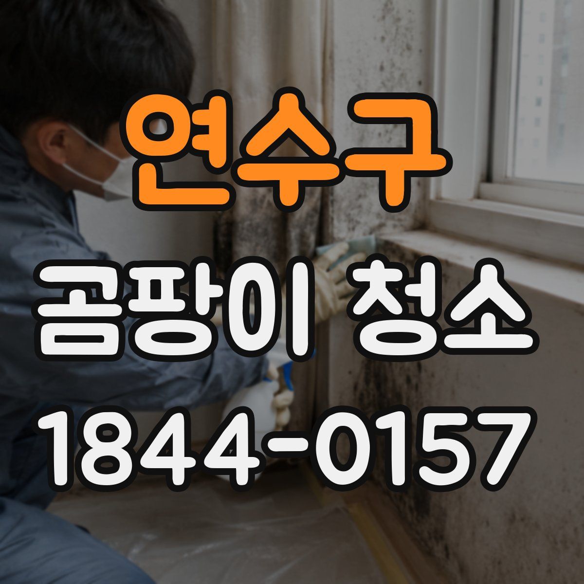 연수구 곰팡이 청소