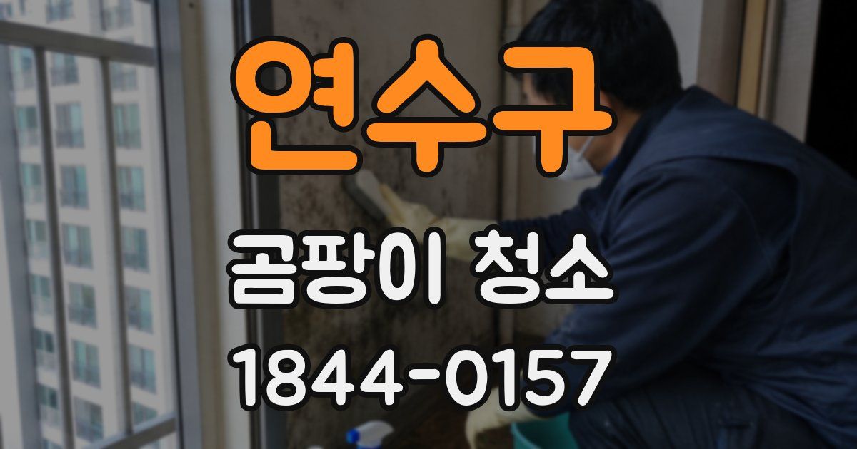연수구 곰팡이 청소