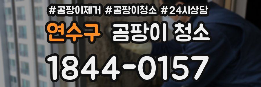 연수구 곰팡이 청소