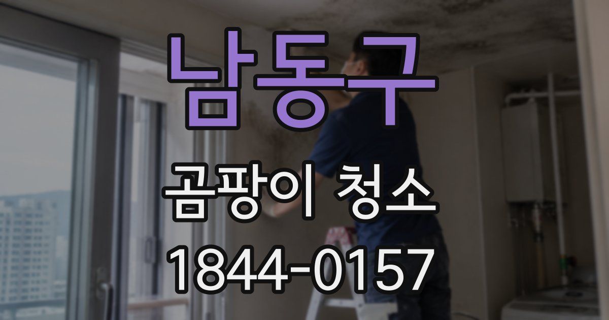 남동구 곰팡이 청소
