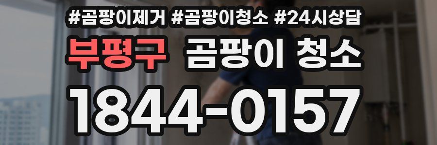 부평구 곰팡이 청소
