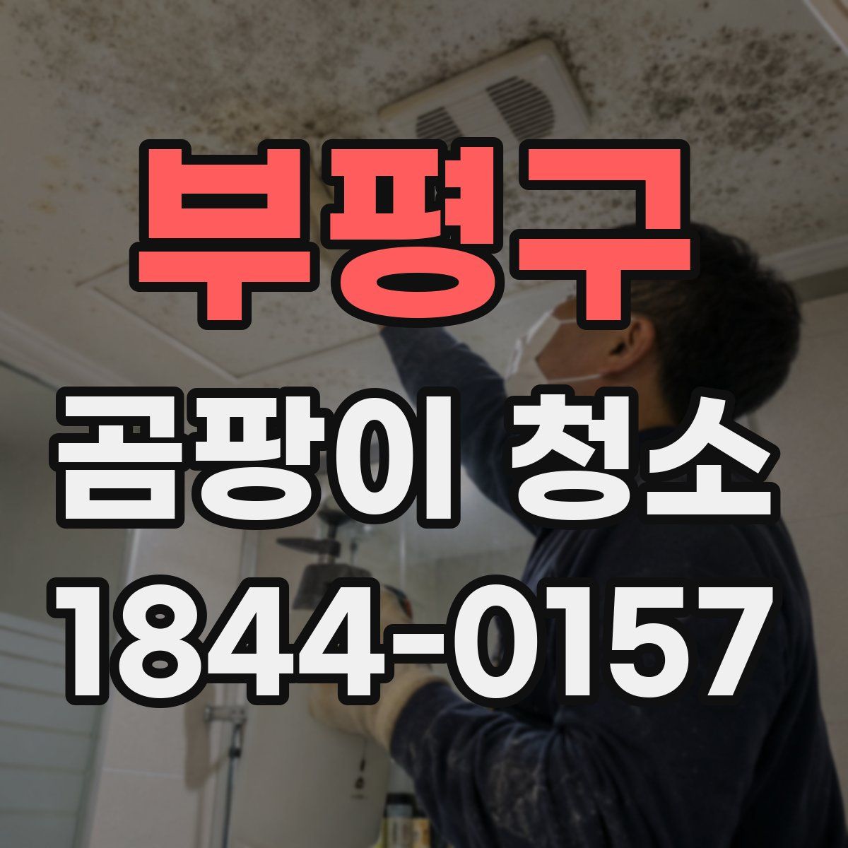 부평구 곰팡이 청소