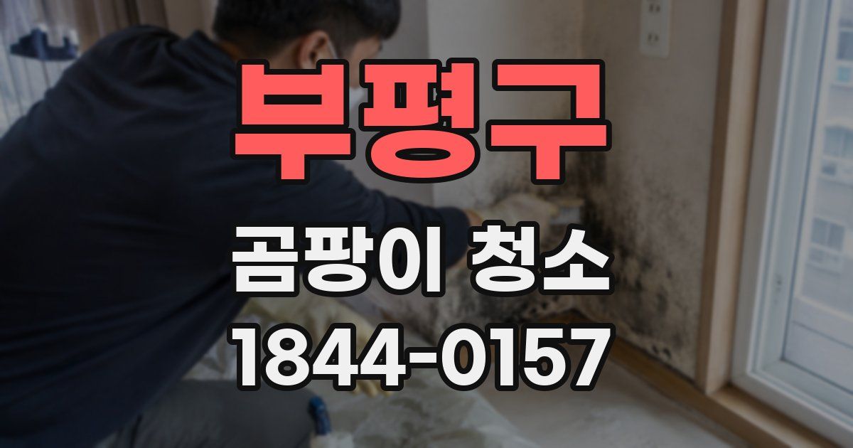 부평구 곰팡이 청소