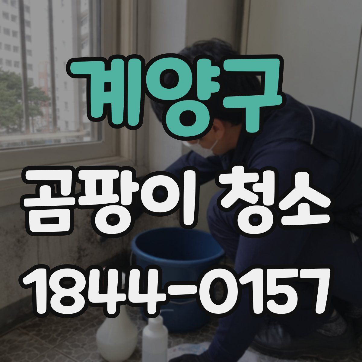 계양구 곰팡이 청소