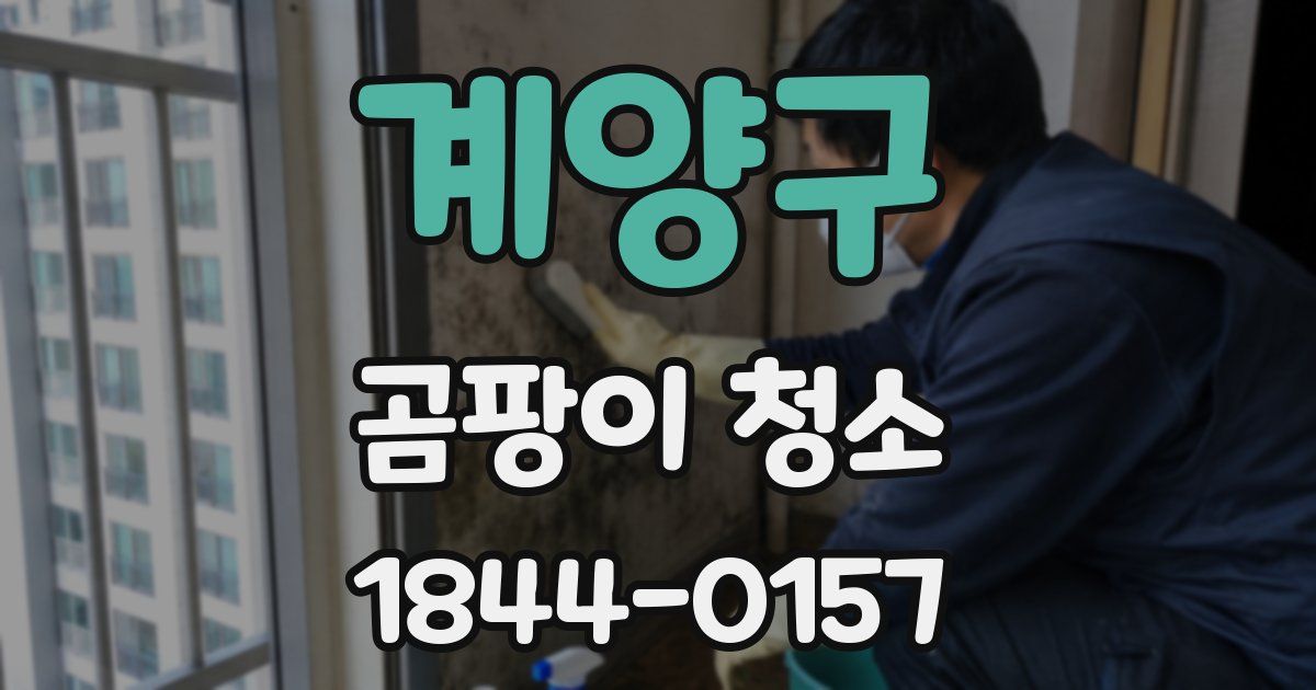 계양구 곰팡이 청소