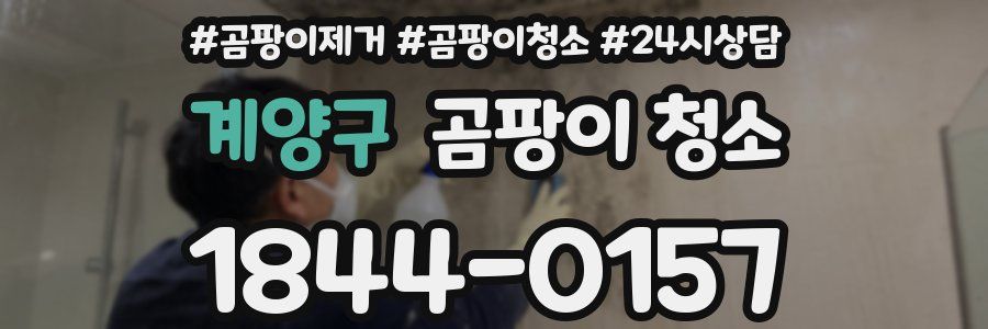 계양구 곰팡이 청소