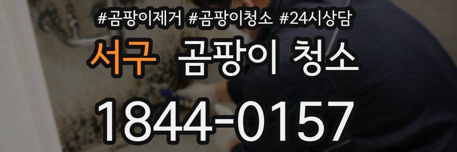 서구 곰팡이 청소