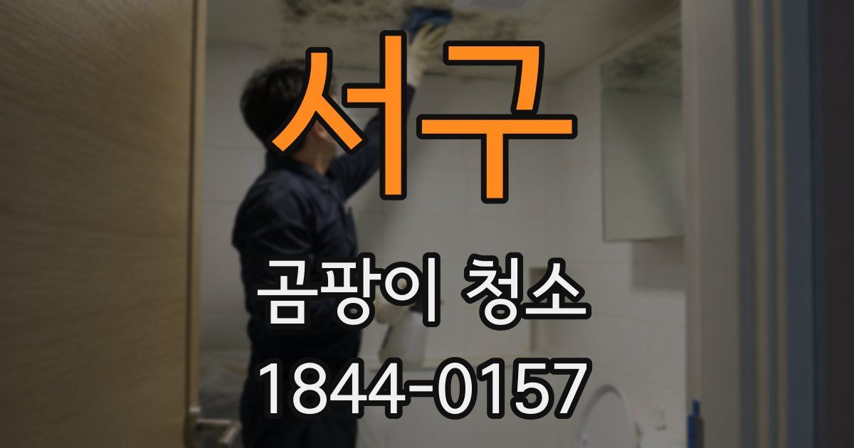 서구 곰팡이 청소