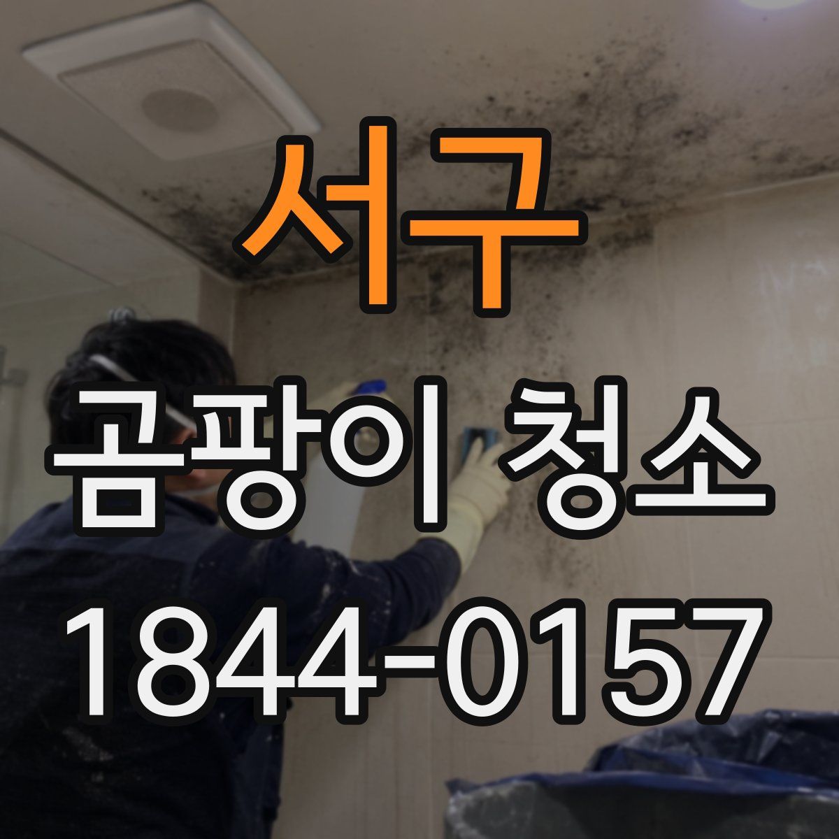 서구 곰팡이 청소