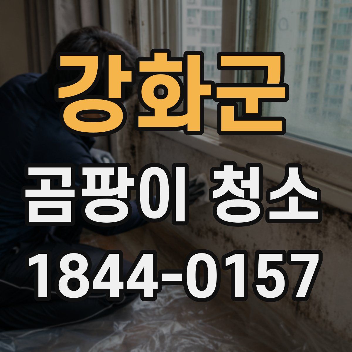 강화군 곰팡이 청소