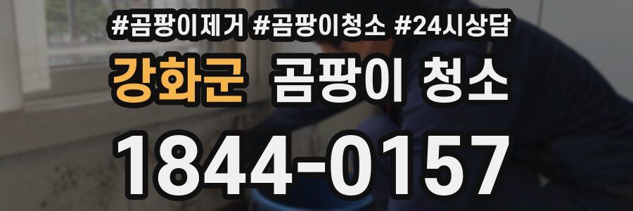 강화군 곰팡이 청소