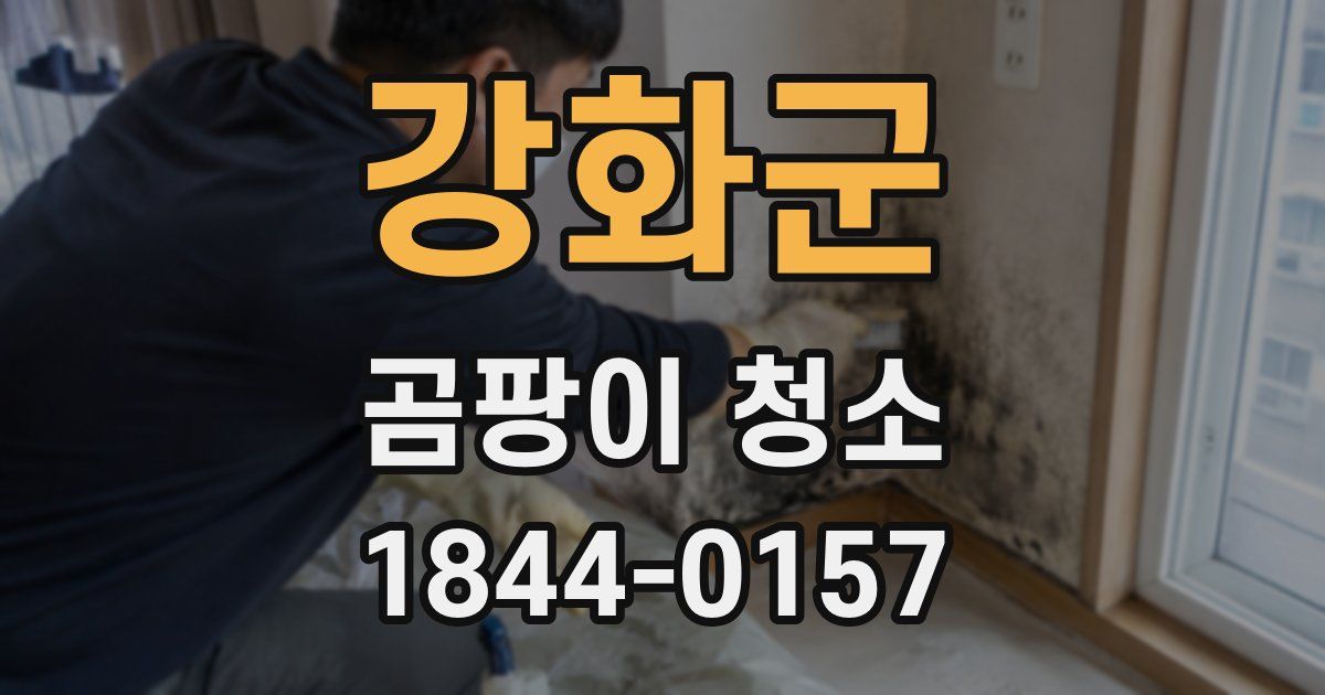 강화군 곰팡이 청소