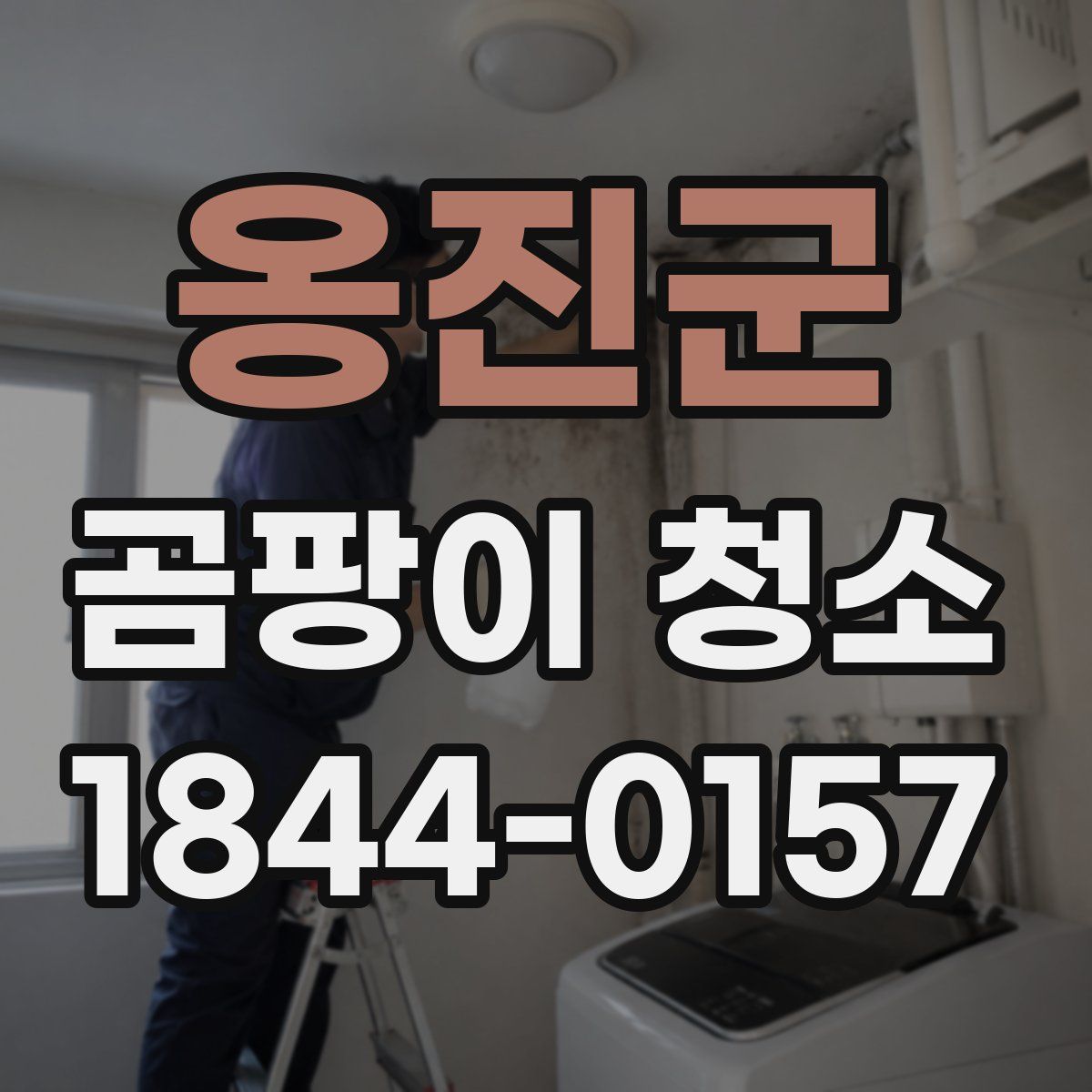 옹진군 곰팡이 청소