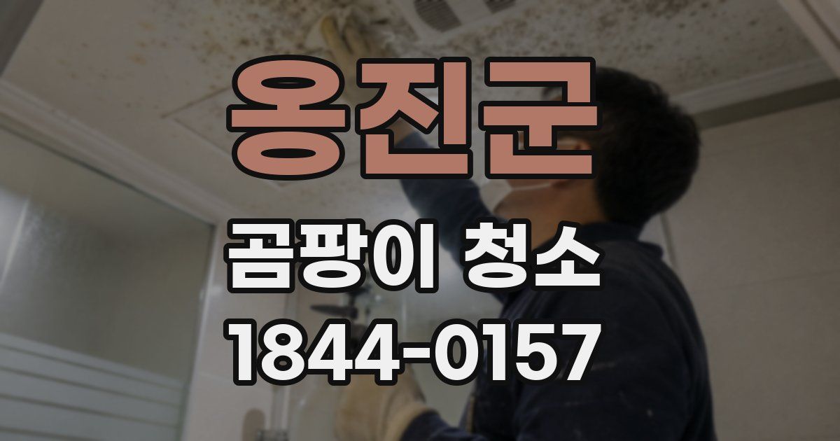 옹진군 곰팡이 청소
