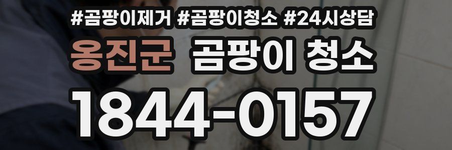 옹진군 곰팡이 청소
