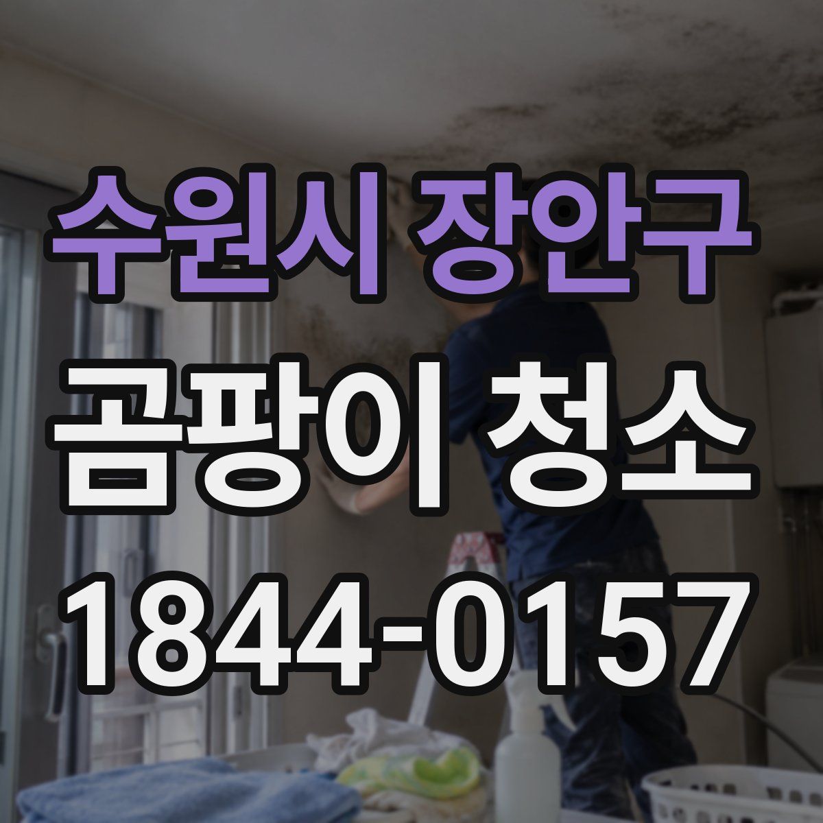 수원시 장안구 곰팡이 청소