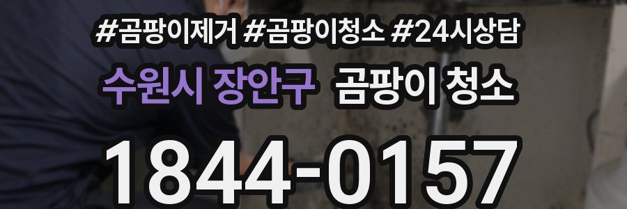 수원시 장안구 곰팡이 청소
