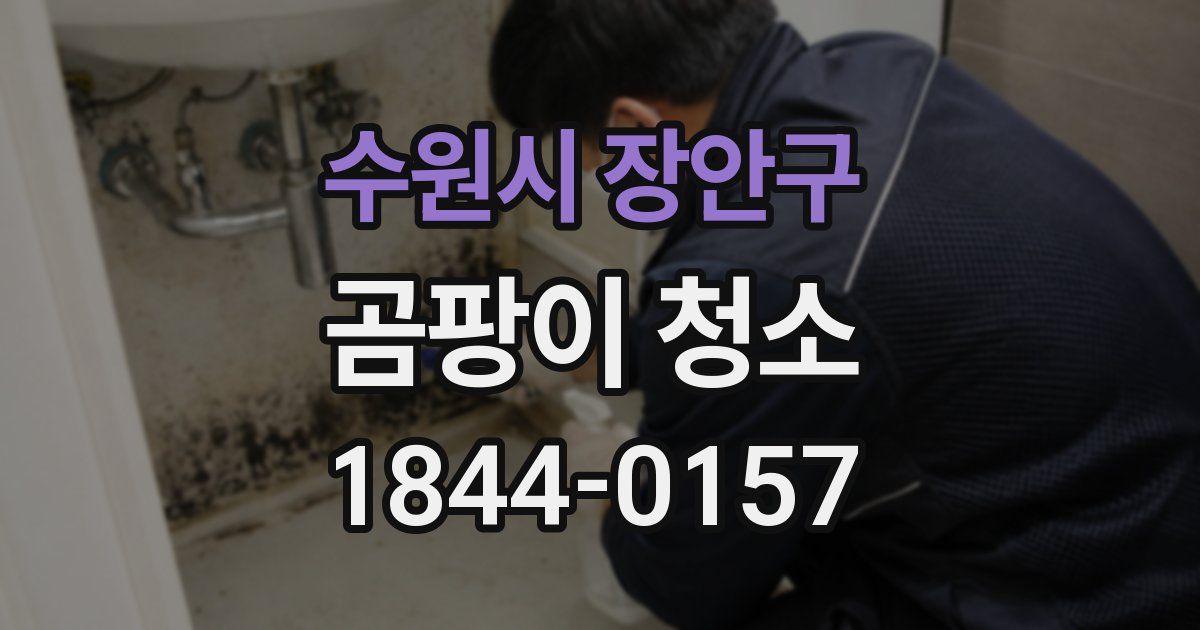 수원시 장안구 곰팡이 청소