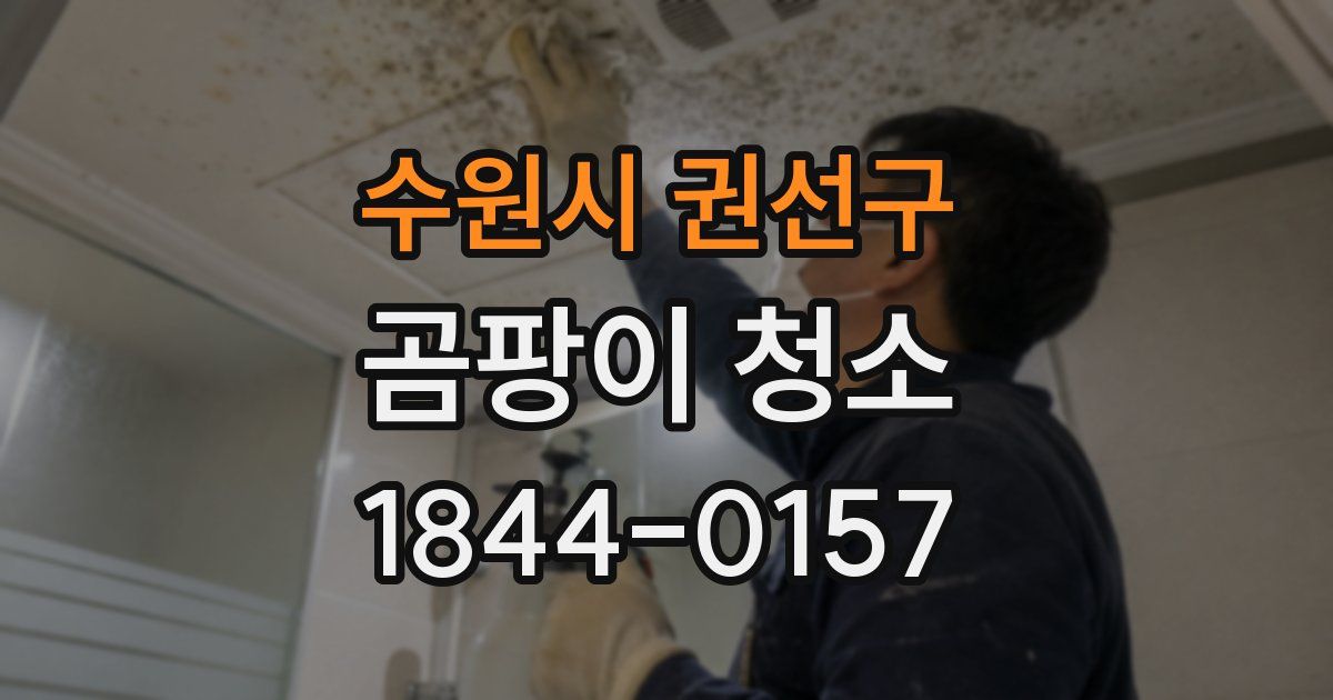 수원시 권선구 곰팡이 청소