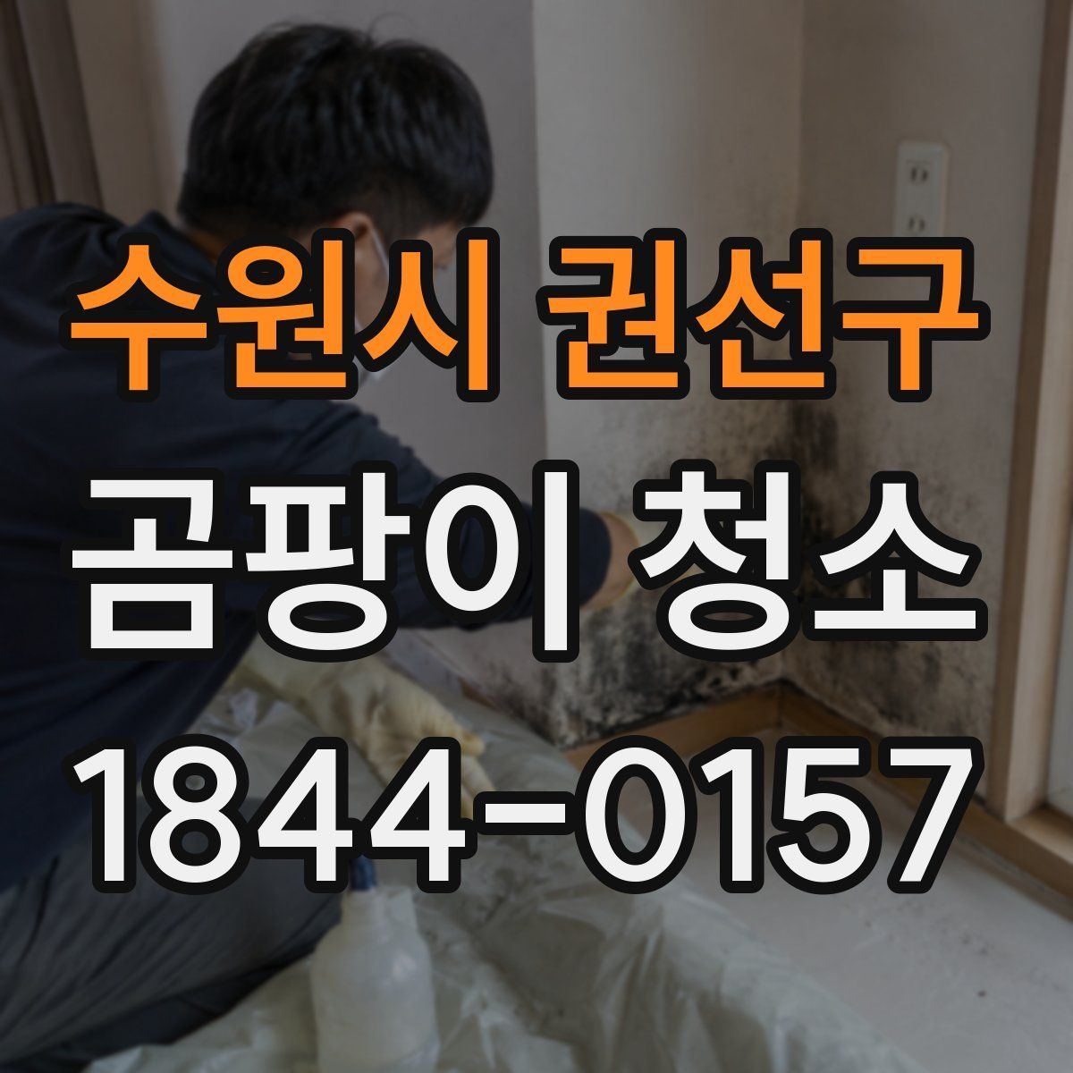 수원시 권선구 곰팡이 청소