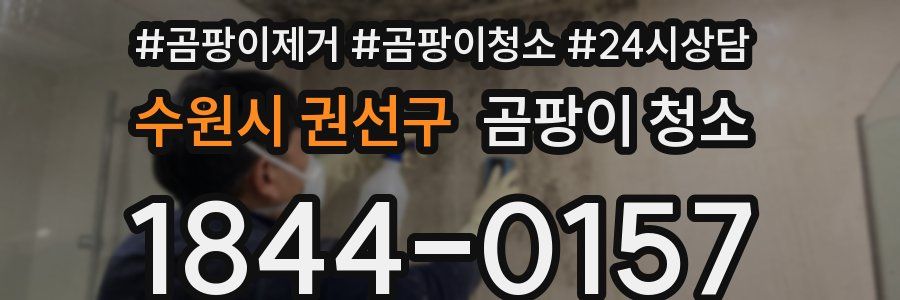 수원시 권선구 곰팡이 청소
