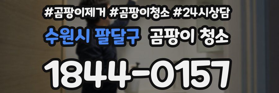 수원시 팔달구 곰팡이 청소