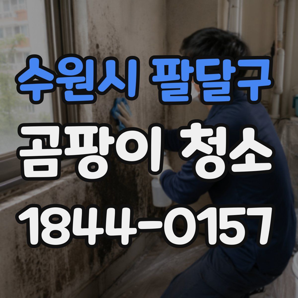 수원시 팔달구 곰팡이 청소