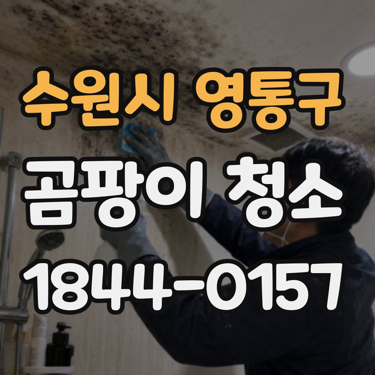 수원시 영통구 곰팡이 청소