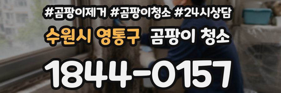수원시 영통구 곰팡이 청소