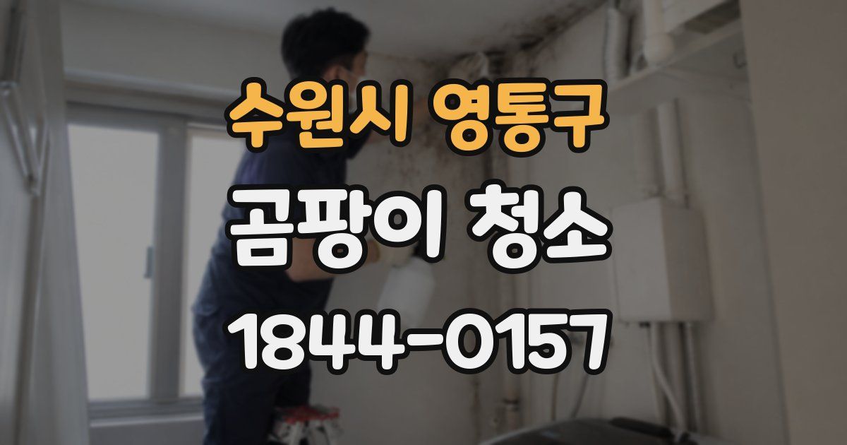 수원시 영통구 곰팡이 청소
