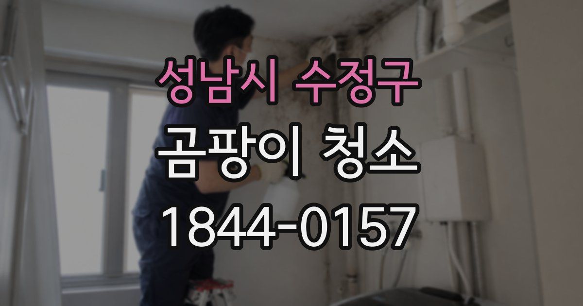 성남시 수정구 곰팡이 청소