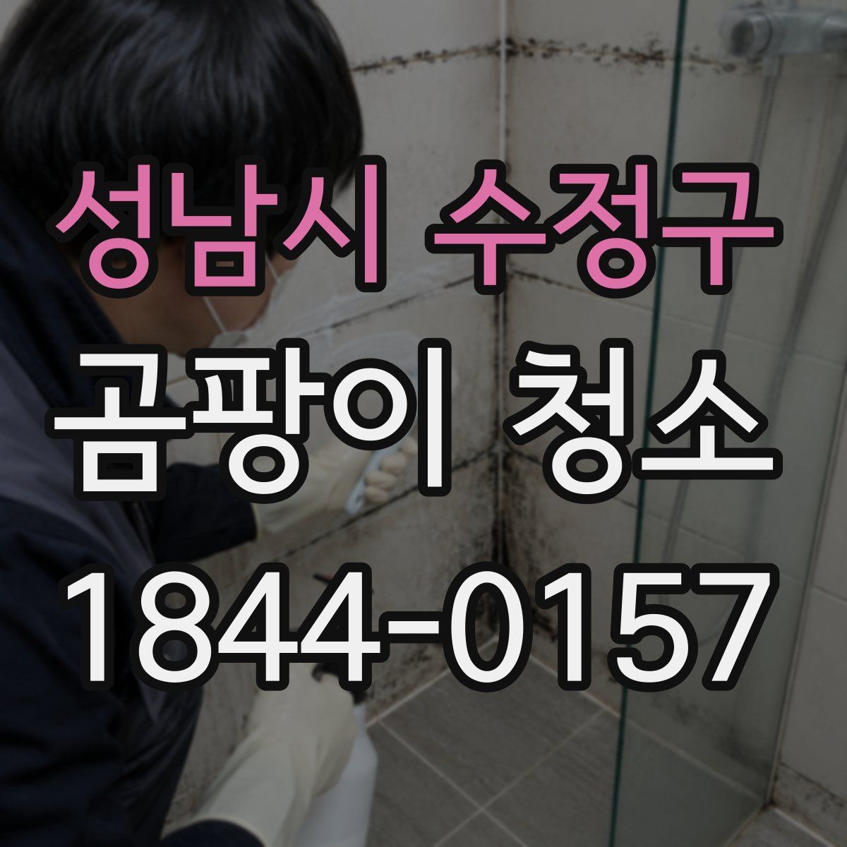 성남시 수정구 곰팡이 청소