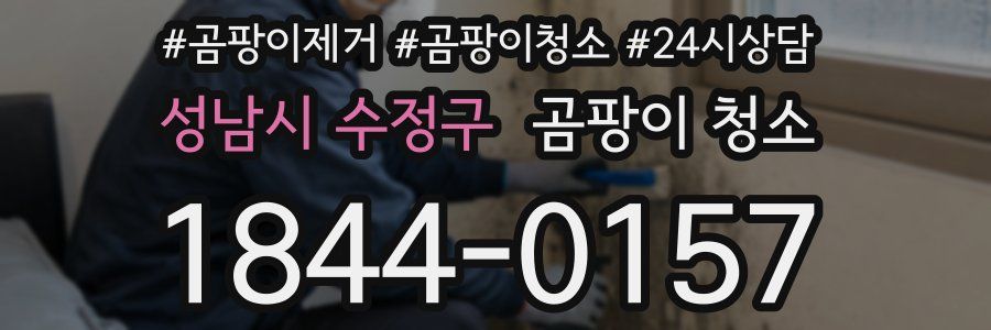 성남시 수정구 곰팡이 청소