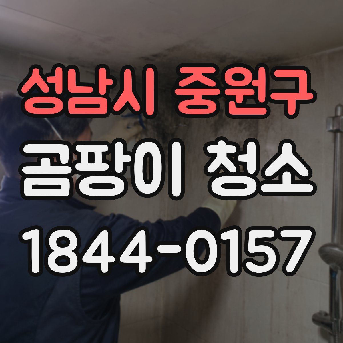 성남시 중원구 곰팡이 청소