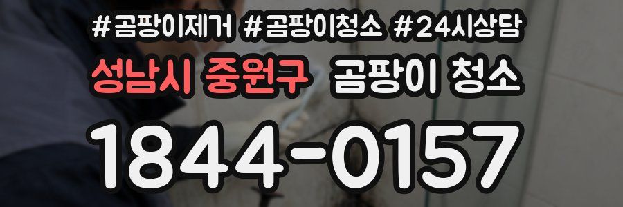 성남시 중원구 곰팡이 청소