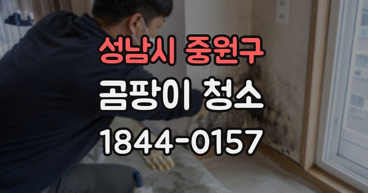 성남시 중원구 곰팡이 청소