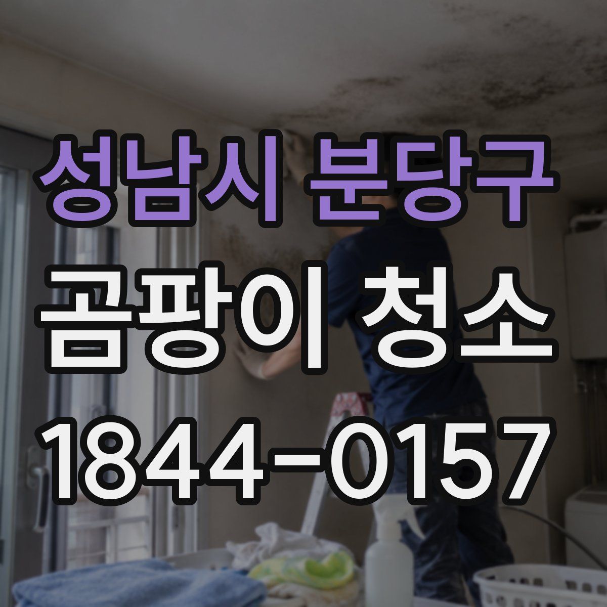 성남시 분당구 곰팡이 청소