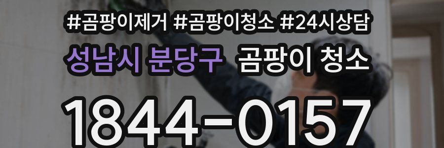 성남시 분당구 곰팡이 청소
